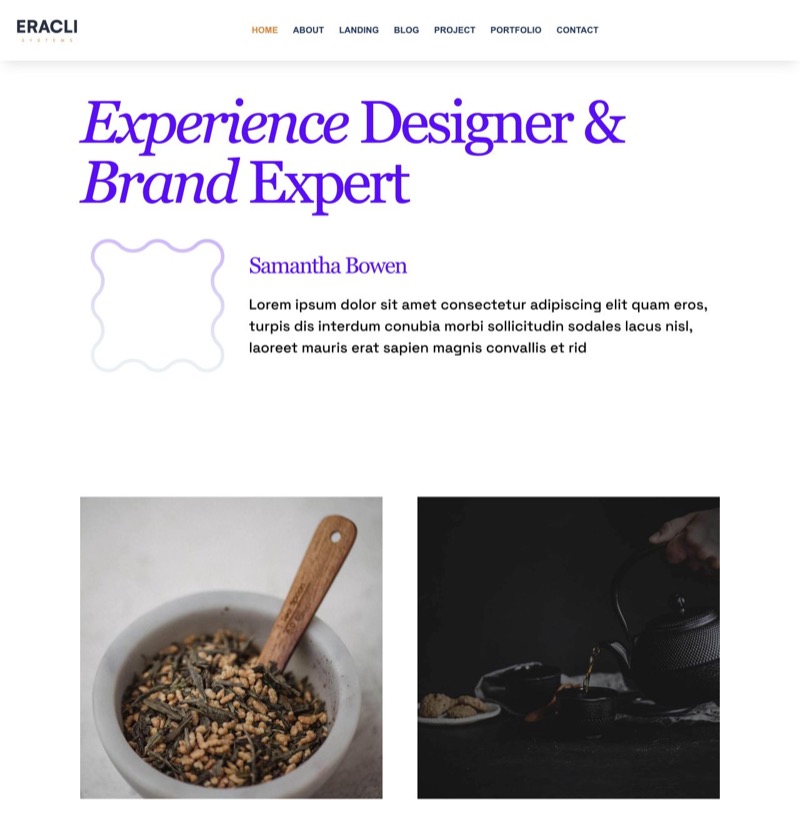 Eracli-Website-Demo: Markendesign